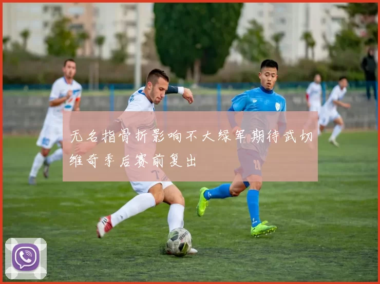 无名指骨折影响不大绿军期待武切维奇季后赛前复出
